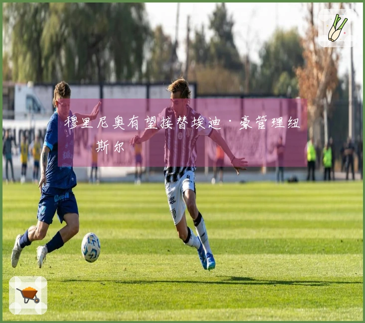 穆里尼奥有望接替埃迪·豪管理纽卡斯尔